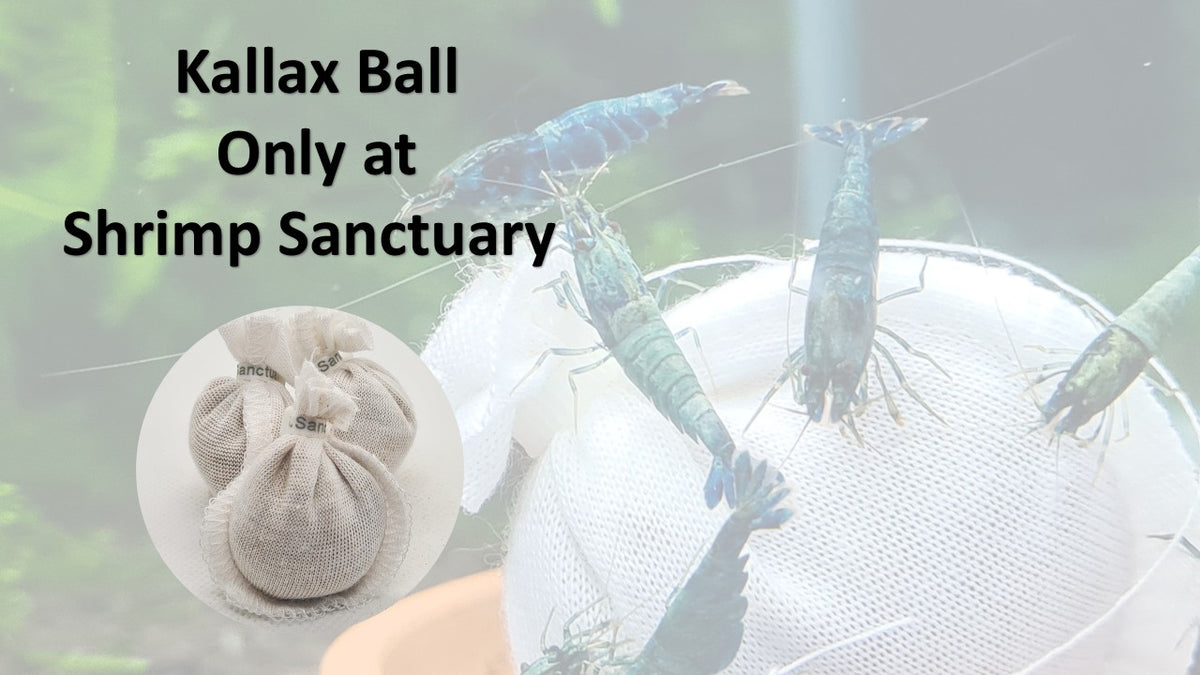 Kallax ball